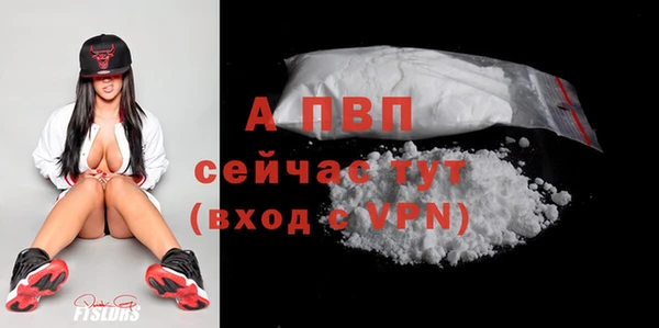СК Бронницы