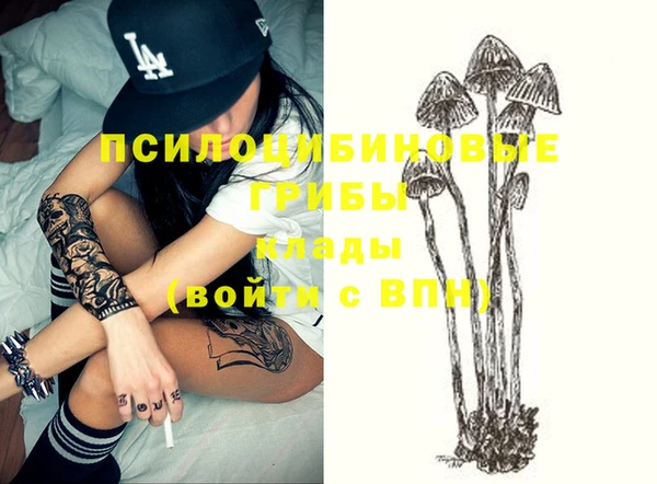 jwh Бородино