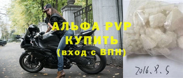 СК Бронницы