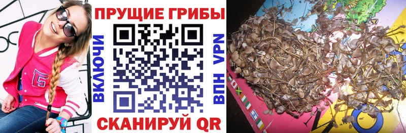 Купить  Суоярви  Галлюциногенные грибы MAGIC MUSHROOMS 